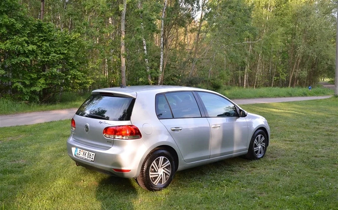 Volkswagen Golf cena 22500 przebieg: 201000, rok produkcji 2010 z Rybnik małe 301